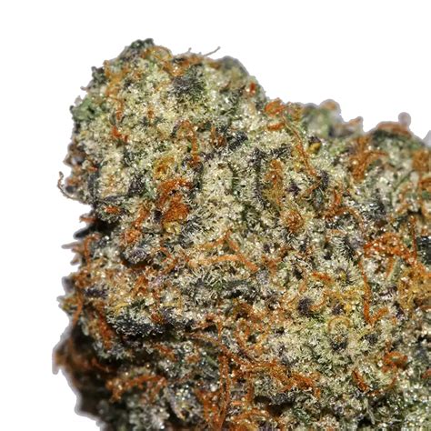 truffle runtz strain information